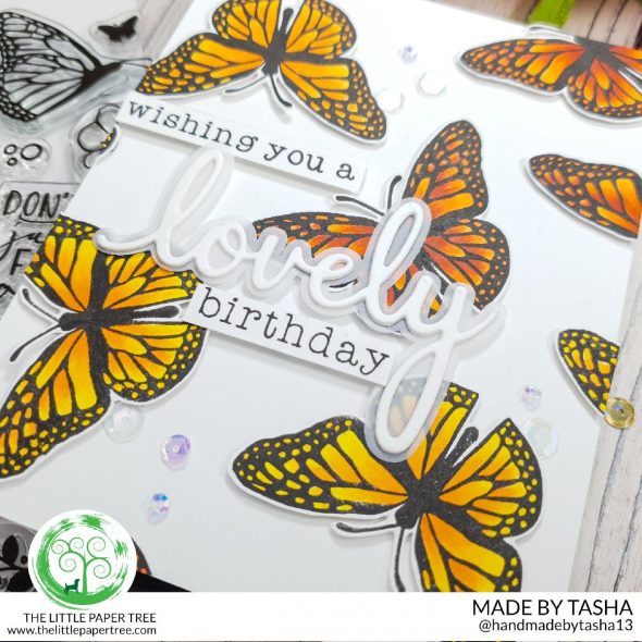 beautiful monarch butterflies