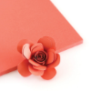 Coral Color Crush Cardstock - The Stamp Market