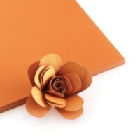 Rusty Color Crush Cardstock - The Stamp Market