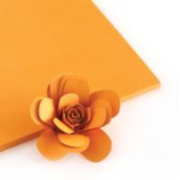 Melon Orange Color Crush Cardstock - The Stamp Market