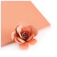 Peach Color Crush Cardstock - The Stamp Market